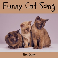 Funny Cat Song