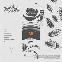 Insects