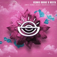James Bande (Bande Organisée Remix)