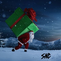 What do You Want for Christmas (Hoes)