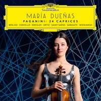 Saint-Saëns: Introduction et rondo capriccioso, Op. 28