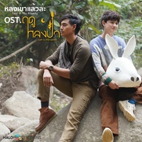 หลงเขาแล้วล่ะ (Original Sound Track From'ฤดูหลงป่า')