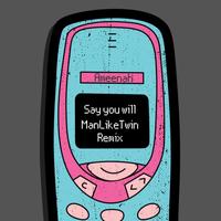 Say You Will -  Remix