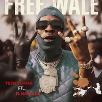 Free Shatta Wale