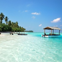 Tropical Holidays