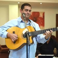 Palo Herni
