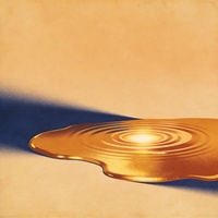 Honey in Transit