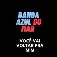 Você Vai Voltar pra Mim