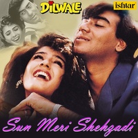 Sun Meri Shehzadi - From "Dilwale"