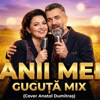 Anii Mei