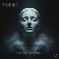 Una voce dal nulla
