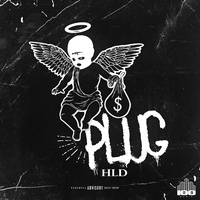 Plug