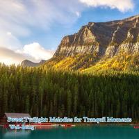 Dream Weaver Melodies