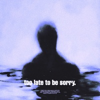 too late to be sorry. - Slowed + Reverb