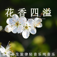 喜悦养生