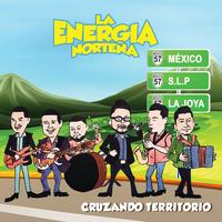 El Amor De Mi Vida - Album Version