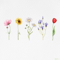 wildflower