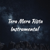 Tera mera rishta - Instrumental