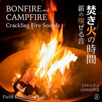Summer Evening Campfire