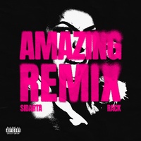 AMAZING - Remix