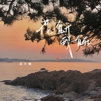 花一直开我一直在