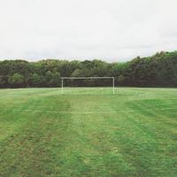 Top Bins