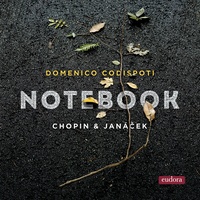 Preludes, Op. 28: No. 13, Lento