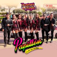 Perdón - En Vivo