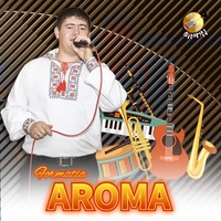 Instrumental-sîrbă - Live