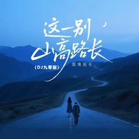 这一别山高路长 - DJ九零版