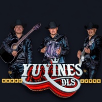 El pitayero-Los Yuyines de la Sierra en vivo - En vivo
