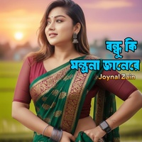 Bondhu ki montrona janere (Melancholic-folk)