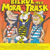Bilfåneri 2