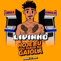 Hoje Eu Vou Parar Na Gaiola