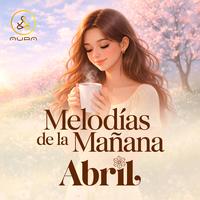 Todo Se Acomoda