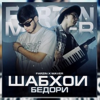 Шабхои Бедори