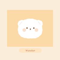 Wonder