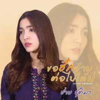ขอฮักอ้ายต่อไปได้บ่ (Cover)
