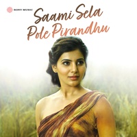 Saami Sela Pole Pirandhu