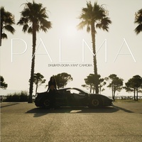 PALMA (feat. RAF Camora)