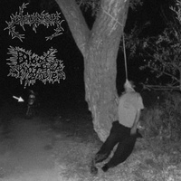 I Hung Myself The Other Day