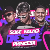 Sobe Balão Desce Princesa