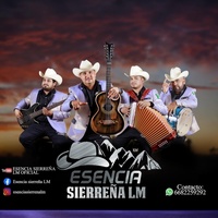 EL NOVILLO DESPUNTADO-ESENCIA SIERREÑA LM EN VIVO - En vivo