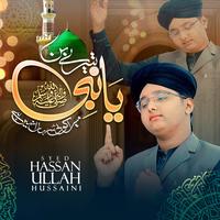 Tere Bin Ya Nabi Mera Koi Sahara Nahi Hai