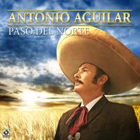 Caballo Prieto Azabache
