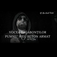 PUMNU' MEU BETON ARMAT