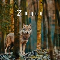 ZAMAN
