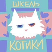 Котики
