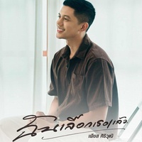 ฉันเลือกเธอแล้ว (Cover Version)