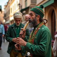 Irish Gnawa